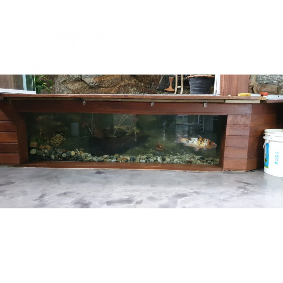 Casa, 2 quartos, 120 m² - Foto 5